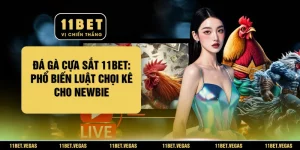 Đá Gà Cựa Sắt 11BET: Phổ Biến Luật Chọi Kê Cho Newbie