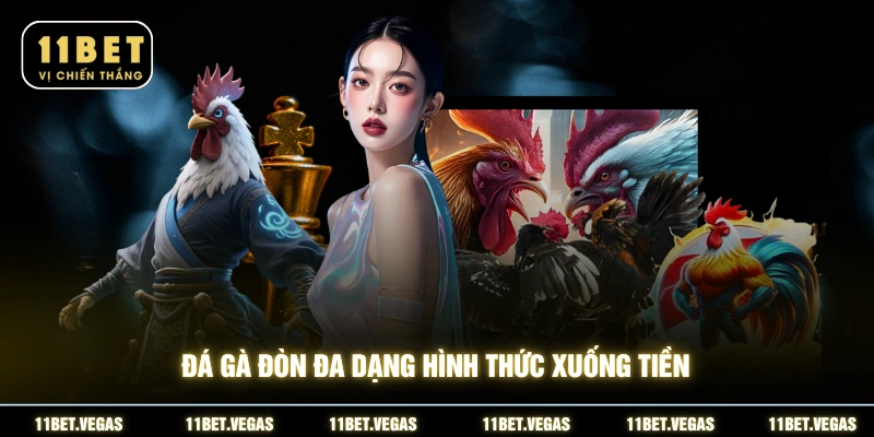 Đá gà đòn đa dạng hình thức xuống tiền