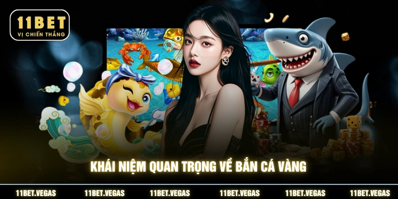 Khái niệm quan trọng về bắn cá vàng