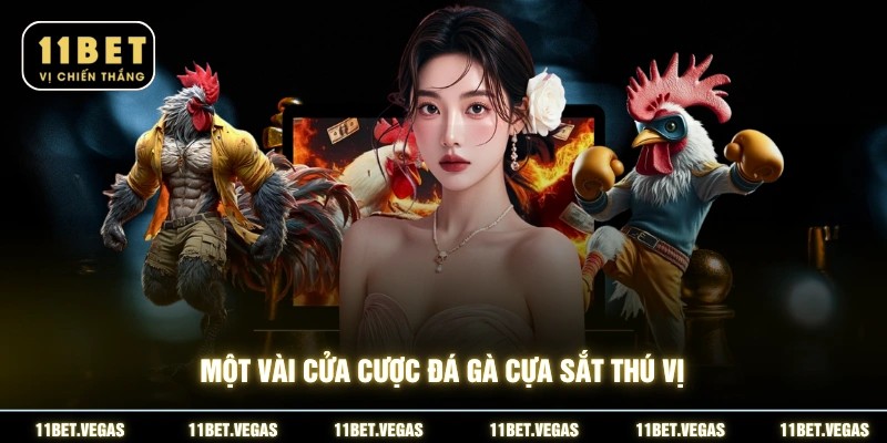 Một vài cửa cược đá gà cựa sắt thú vị