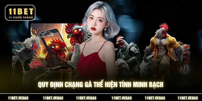 Quy định chạng gà thể hiện tính minh bạch