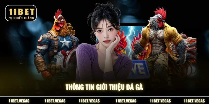 Thông tin giới thiệu đá gà