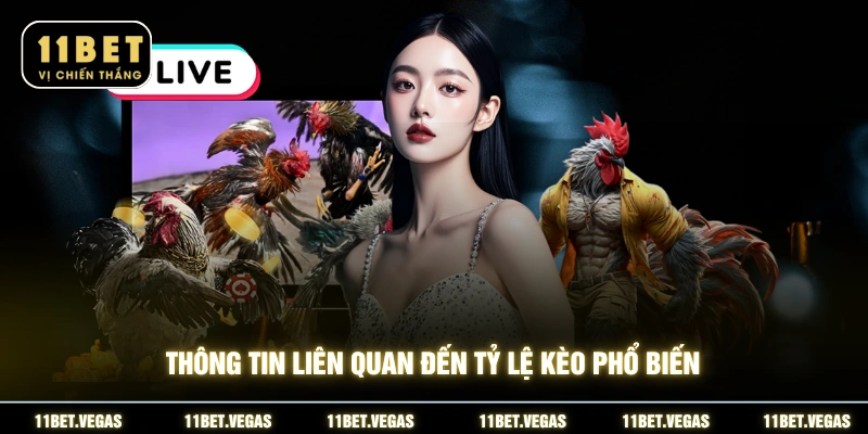 Thông tin liên quan đến tỷ lệ kèo phổ biến