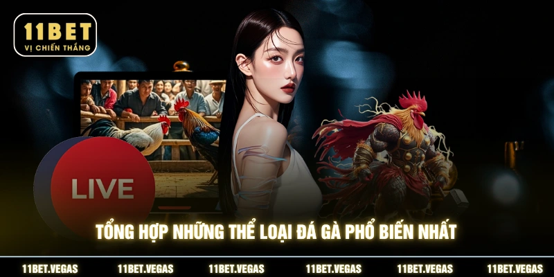 Tổng hợp những thể loại đá gà phổ biến nhất